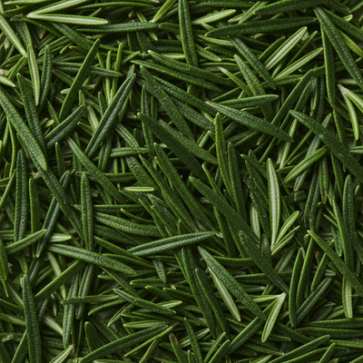 Feuilles entières de romarin bio
